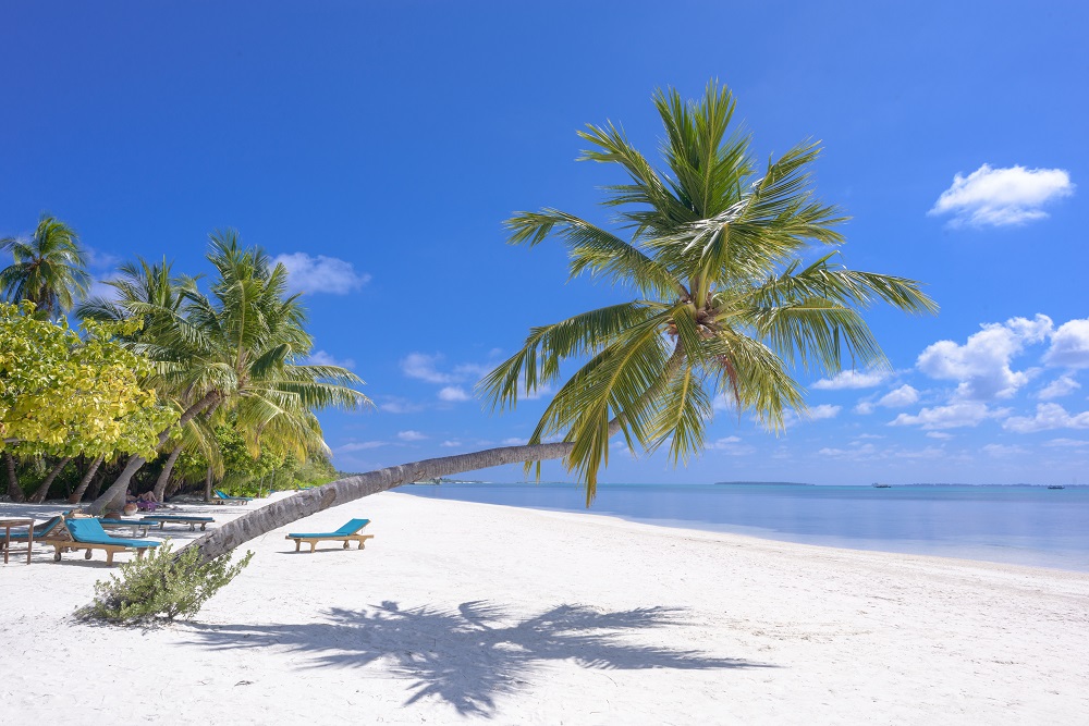 A Guide to Responsible Travel A Guide To Responsible Travel 2