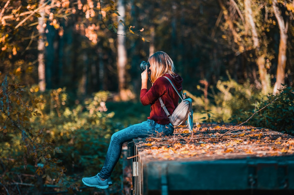 Pexels David Bartus 610294 1